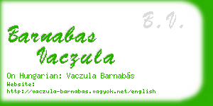 barnabas vaczula business card