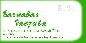 barnabas vaczula business card